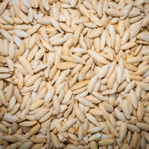 Pumpkin Seeds Turkish Roasted Salted - 250 g ( تخمه کدو ترکیه رست شده نمکی )