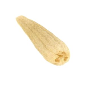 Loofa